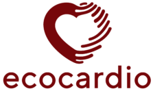 marca-ecocardio_horizontal-completa-e1658768969854.png